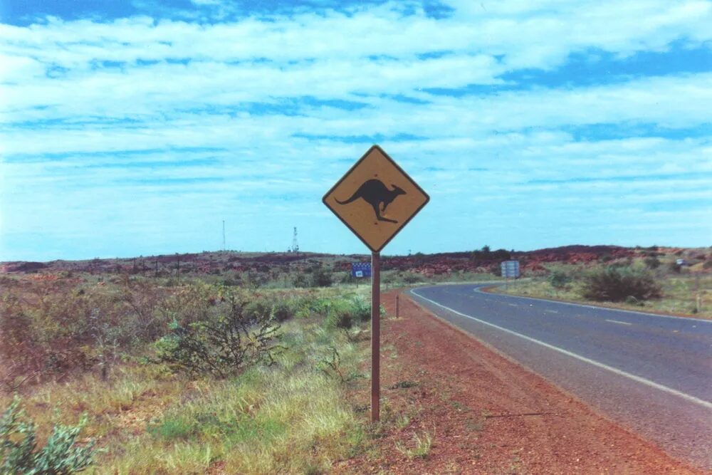 Sign post of a warning about Kangaroo crossing the road