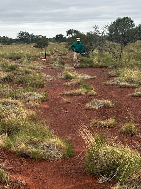 Access Road To Drilling Site For Water Well